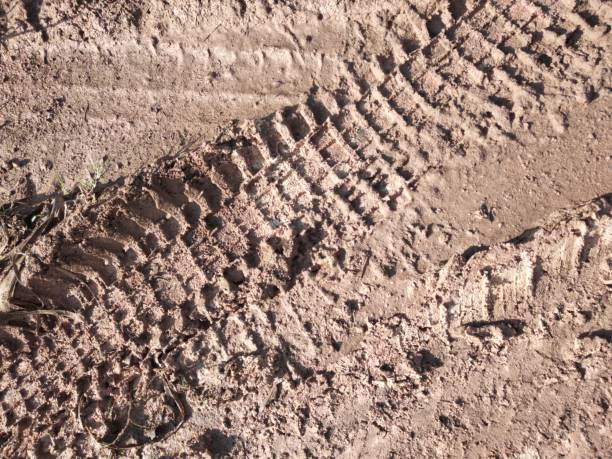 istock motorbike tire tracks 1807955010
