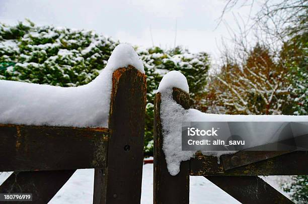 Portão De Inverno Com Copyspace - Fotografias de stock e mais imagens de A nevar - A nevar, Ao Ar Livre, Arbusto