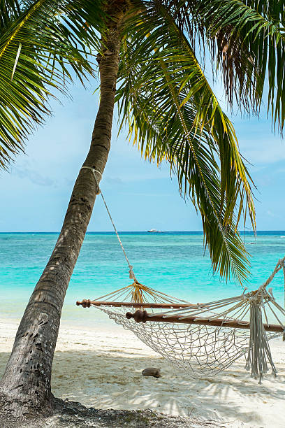 istock Vacation paradise in the Maldives (Lhaviyani Atoll) 180797586