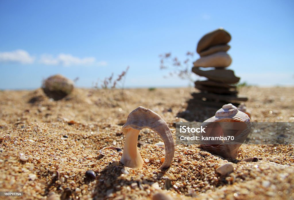 Coquillages sur la plage - Photo de Abstrait libre de droits