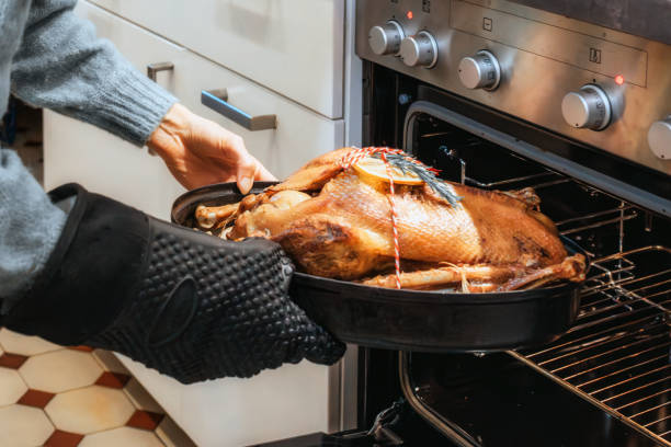 istock woman putting goose roast into oven for christmas dinner 1807993746