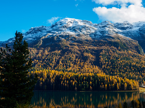 St. Moritz in autumn, front view looking from another side of St. Moritz lake. See the snowcapped mountain, Piz Surlej, and autumn leaves forest.