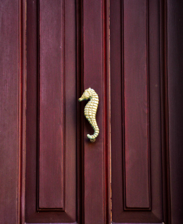 A seahorse shaped knocker on maroon door