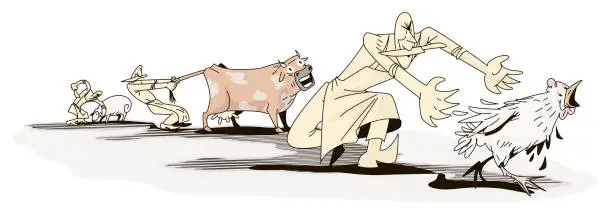 Vector illustration of cow, sheep, chicken and butchers