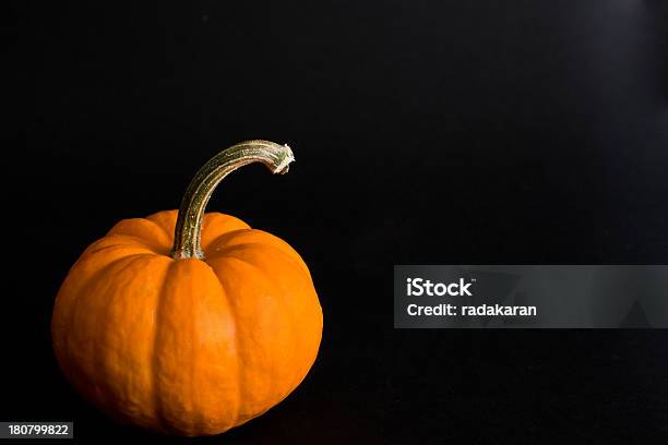 Halloween Pumpkin On Black Stock Photo - Download Image Now - Black Color, Halloween, Holiday - Event