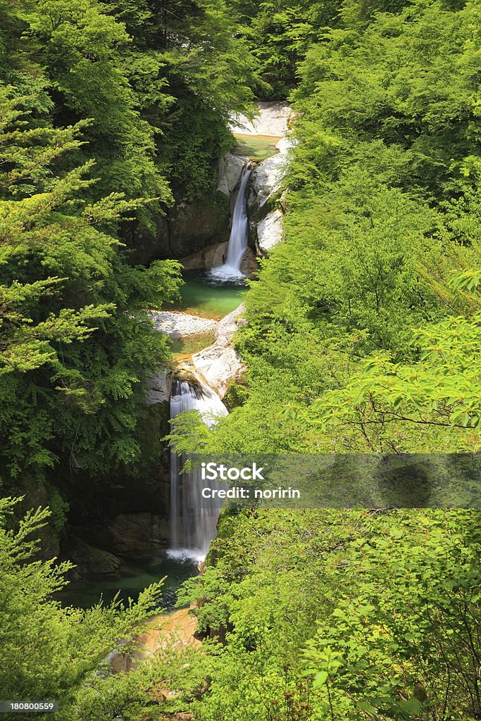 Cachoeira de verde - Foto de stock de Beleza natural - Natureza royalty-free