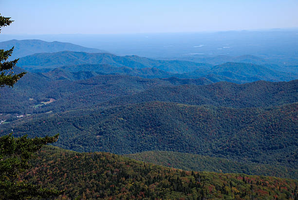 Blue Ridge Mountains View of the Blue Ridge Mountains from Mount Mitchell, North Carolina mt mitchell stock pictures, royalty-free photos & images