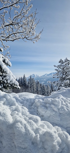 winter wonderland - country road through snow and hoarfrost covered trees in sunny blue sky winterly landscape perfect background for christmas cards