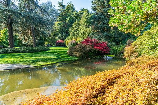 A view of a pond and fall leaves at Kubota Gardens in Seattle, Washington.