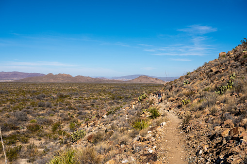 Hiker Along Lone Mountain Trail In Big Bend National Park