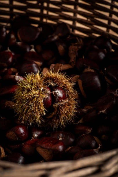 istock Detail on a chestnut hedgehog in a basket. 1808033523