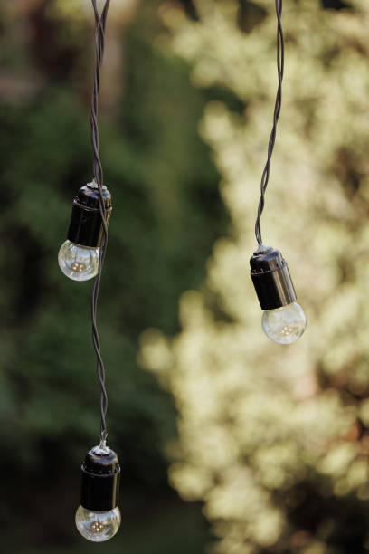 istock Three light bulbs suspended on black wires against a blurred foliage background 1808051736