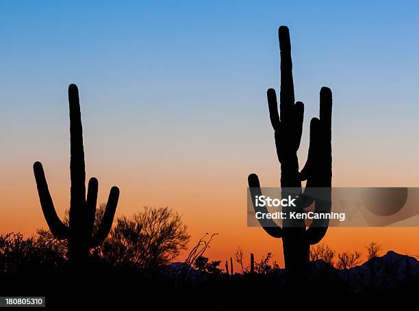 Foto de Silhueta De Saguaro e mais fotos de stock de América do Norte - América do Norte, Arbusto, Arizona