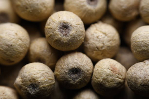 Peppercorns. macro. Condiments. Spicy. White pepper. very close concept. details.\nPeppercorns are a condiment in many cultures. Macro photography concept with a lot of detail.