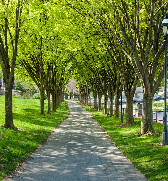 The tree lined Heritage Rail Trail County Park along the Codorus River in downtown York, Pennsylvania in the spring.