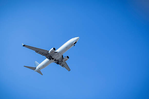 istock Jet airplane landing with clear sky 180805994