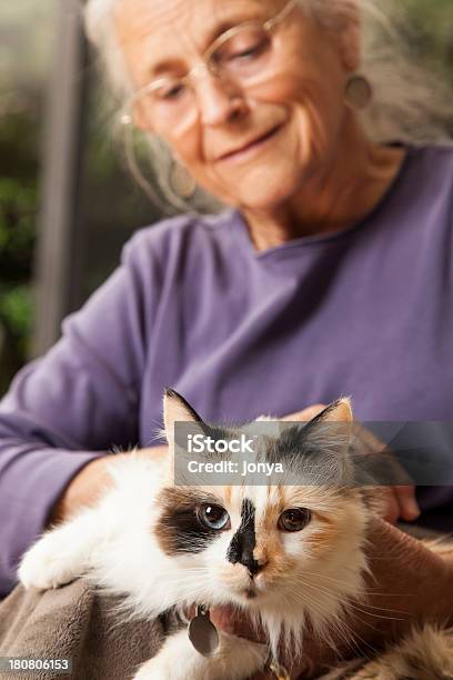 Amore Di Animali Domestici - Fotografie stock e altre immagini di Gatto domestico - Gatto domestico, Terza età, 70-79 anni