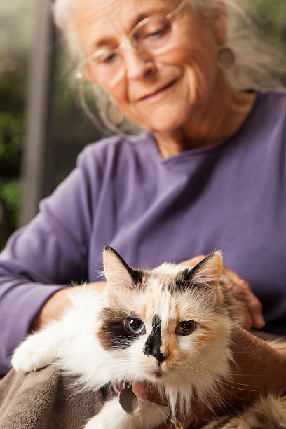 istock love of pets 180806153