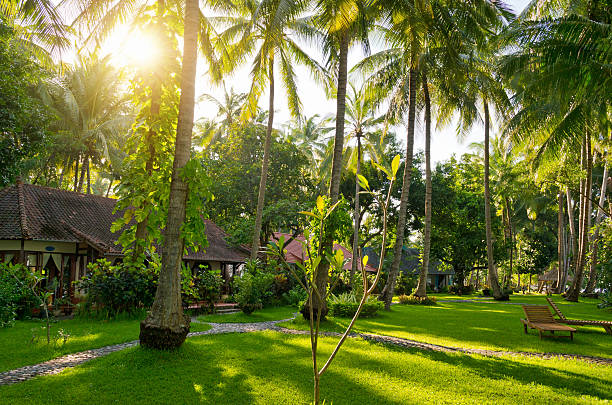 palme e bungalow in bali indonesia - luxury hotel palm tree lush foliage asia foto e immagini stock