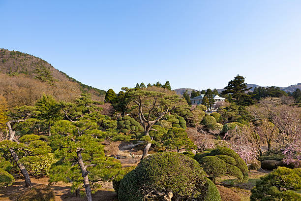 istock japanese garden 180807386