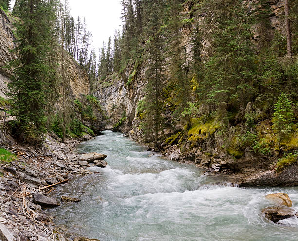 Johnston Canyon stock photo