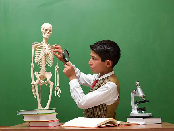 Photo of Little boy looking at the human skeleton and thinking