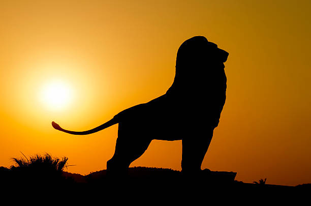 istock King of the Jungle 180808562