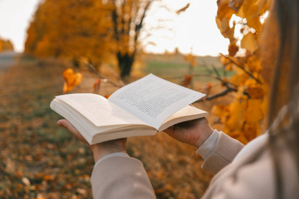 istock Open book in hands in nature 1808087093