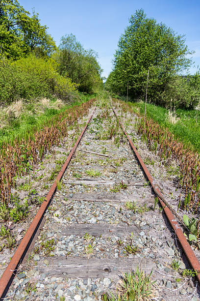 istock Overgrown Abandoned Railroad Tracks 180808763