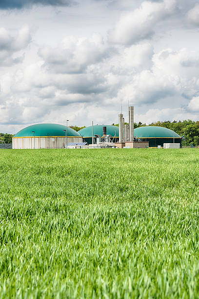 usina de energia com biomassa um grande cloudscape energiewende biogás - nachhaltig - fotografias e filmes do acervo