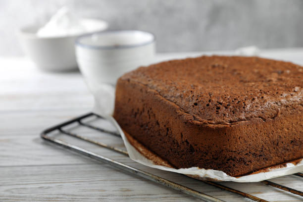 istock Homemade chocolate sponge cake on white wooden table, closeup. Space for text 1808091985