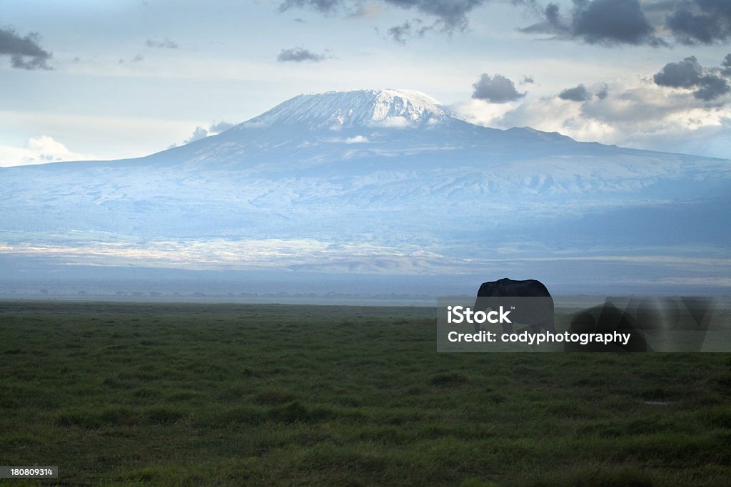 Elefant unter einem Cloud - Lizenzfrei Afrika Stock-Foto