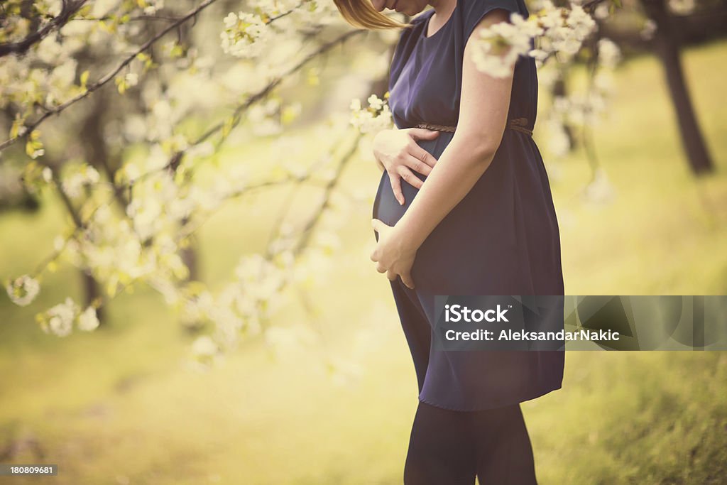 Sanfte Schwangerschaftsmassage, Porträt - Lizenzfrei Bauch Stock-Foto