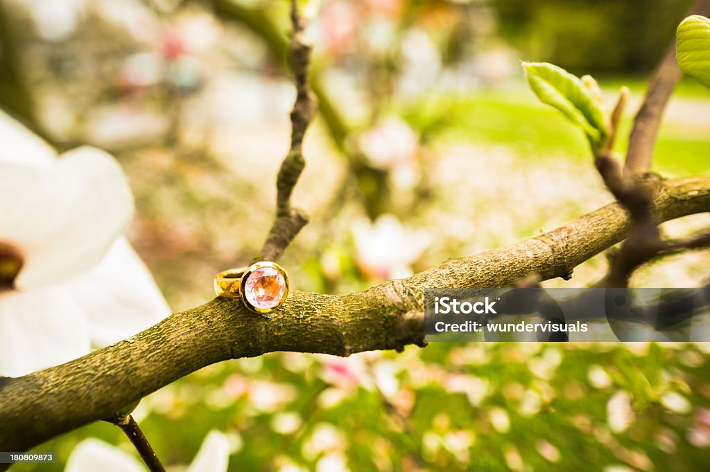 Anillo de boda de oro sobre una rama de madera - Foto de stock de Acostado libre de derechos