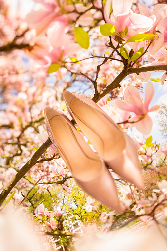 Vertical shot of bridal shoes in colorful magnolia