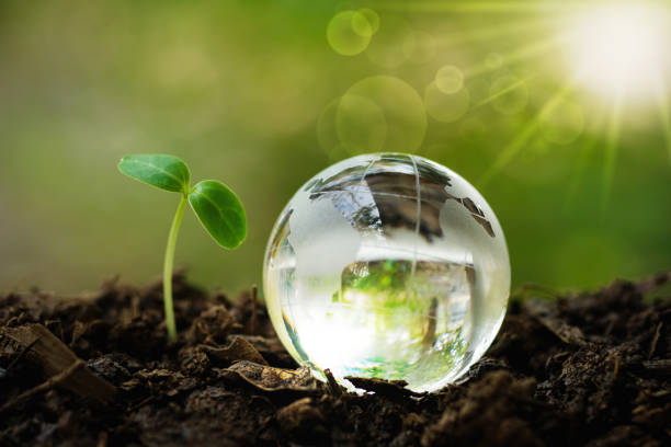istock Globe crystal glass on the soil ground with growing tree and sunlight on green background for.Eco Nature friendly, world environment day.Bio CSR ESG ecosystems reforestation concept. 1808099126