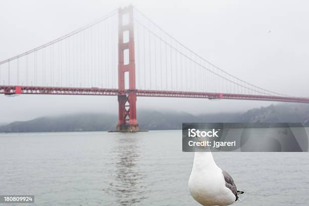 Puente Golden Gate Foto de stock y más banco de imágenes de Agua - Agua, Aire libre, Anochecer