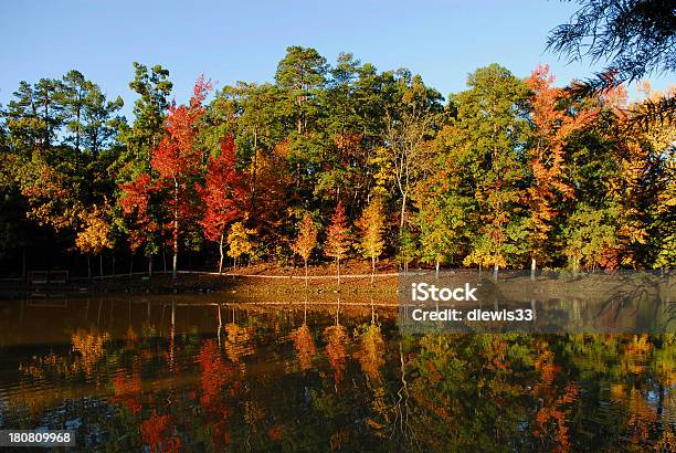 Outono Reflexão - Fotografias de stock e mais imagens de Amarelo - Amarelo, Ao Ar Livre, Azul