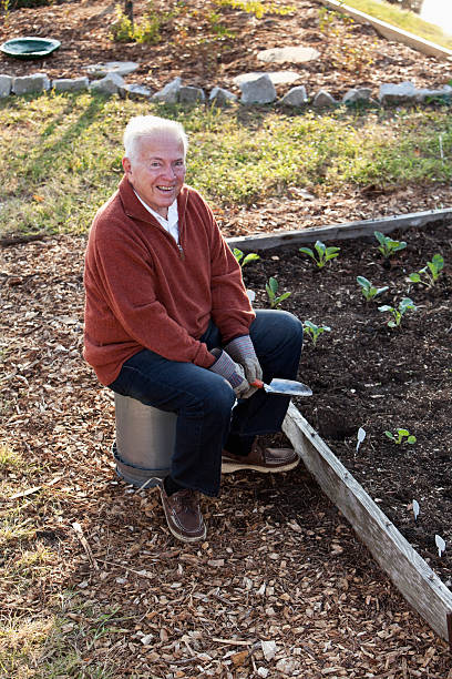 homme senior jardinage jardin potager - sc0588 vertical full length outdoors photos et images de collection