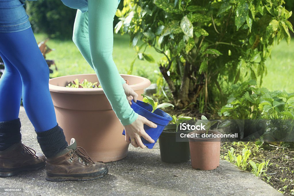 patio garden woman container gardening on her patio Activity Stock Photo