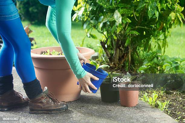 Patio Garden Stock Photo - Download Image Now - Activity, Adult, Adults Only