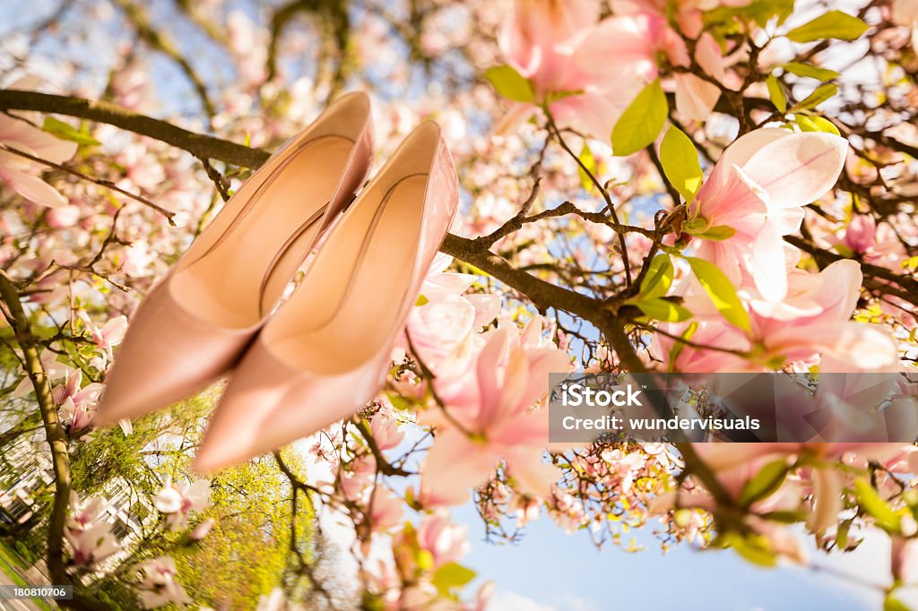 Zapatos de la boda en un árbol para colgar - Foto de stock de Azul libre de derechos