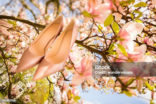 Zapatos De La Boda En Un Árbol Para Colgar Foto de stock y más banco de imágenes de Azul - Azul, Boda, Calzado