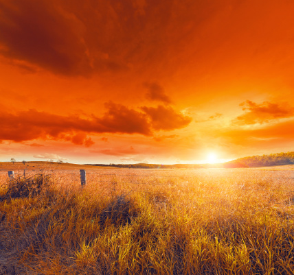 Australian landscape at sunset.Similar images;
