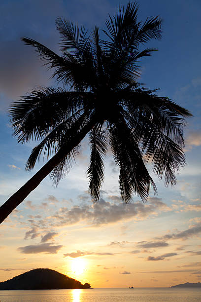 istock Sunset in tropical paradise 180810956