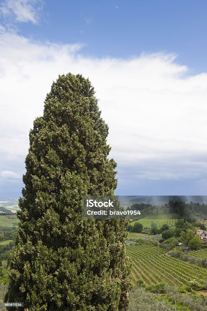 Paesaggio toscano - Foto stock royalty-free di Agricoltura