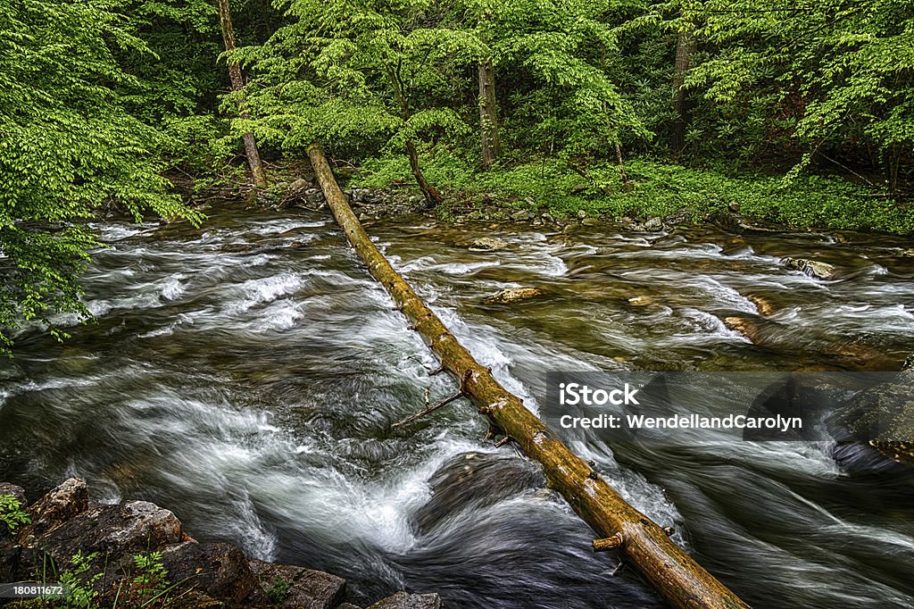 Smoky Mountains Stream en mouvement HDR - Photo de Arbre libre de droits