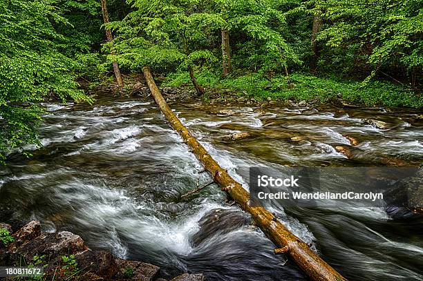Smoky Mountains 스트림에 움직임감지 Hdr 0명에 대한 스톡 사진 및 기타 이미지 - 0명, 강, 경관