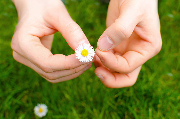 istock Girl picking daisies 180811715