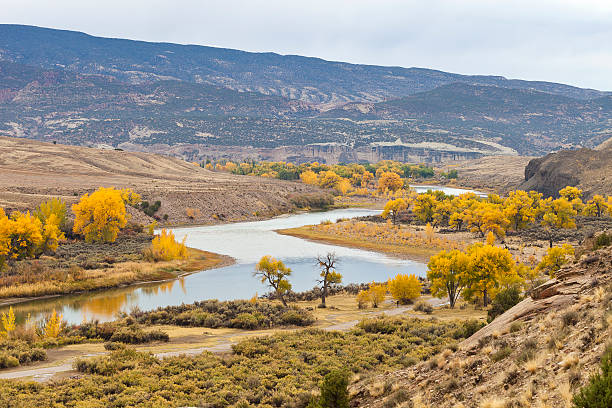 die green river in utah, usa - dinosaur national monument stock-fotos und bilder